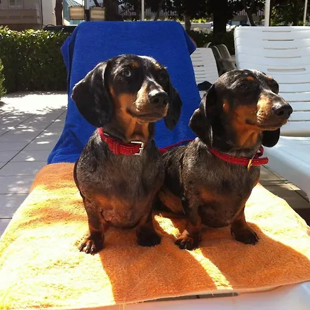 Park Miriam Gatteo a Mare