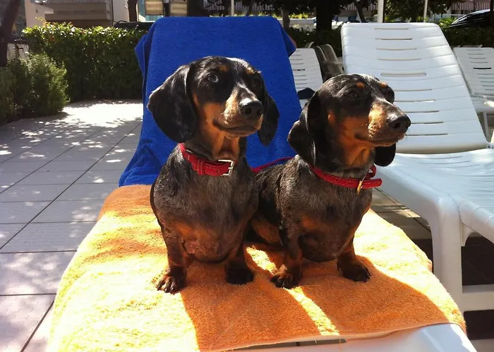 Park Miriam Gatteo a Mare